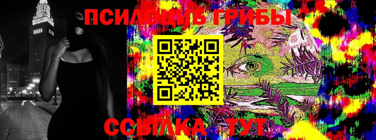 Саяногорск  Псилоцибиновые грибы мицелий  Псилоцибиновые грибы прущие грибы  Вход с VPN 
